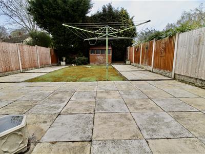 Picture 11